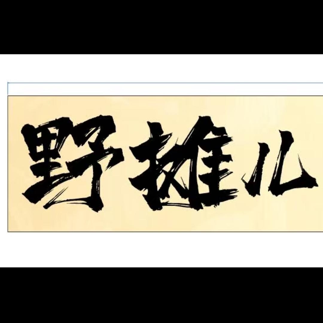 野摊儿东北烧烤（景谷路店）