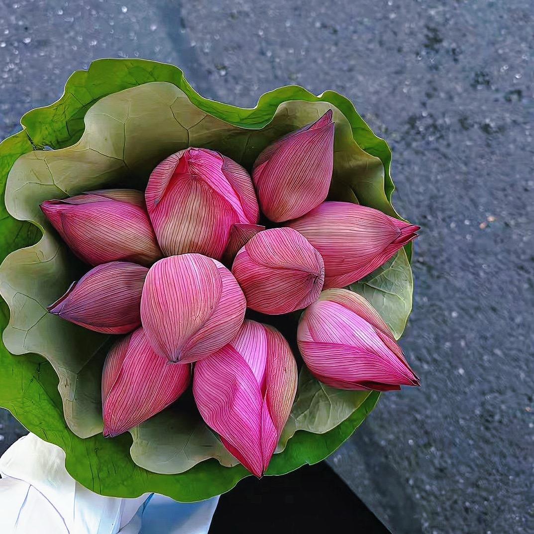 小玉老师分享好物✅