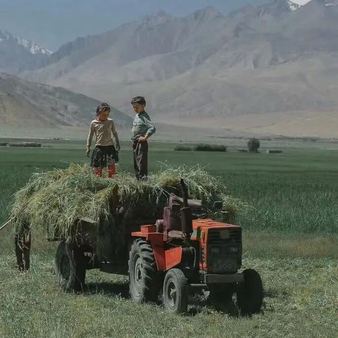 要治本必须重口味