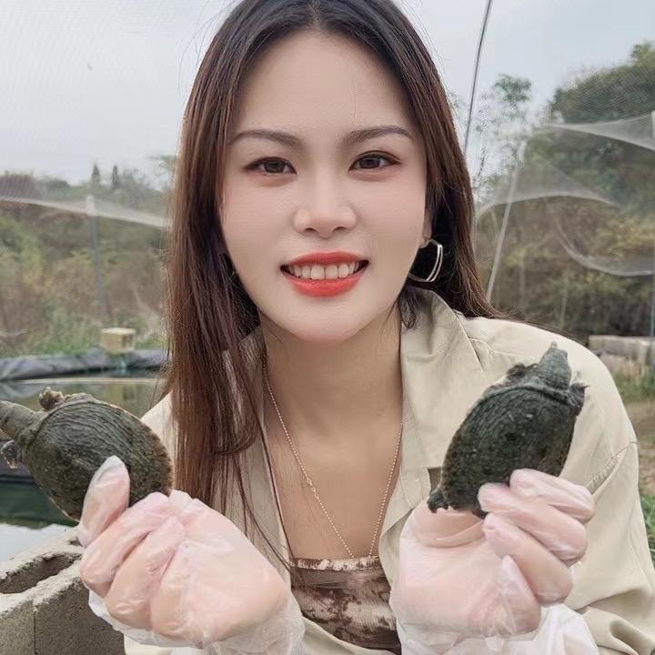 南丰姐妹甲鱼