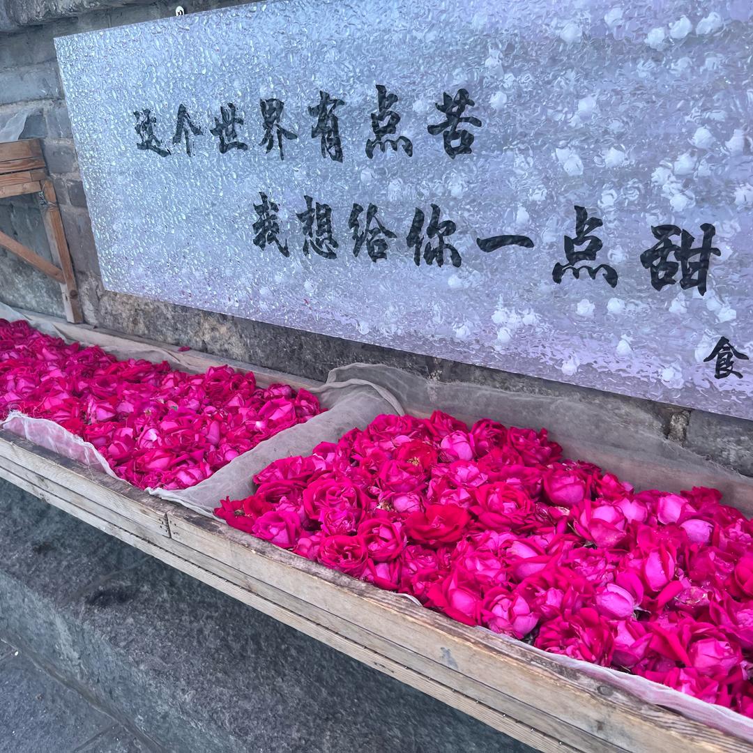 奶茶o