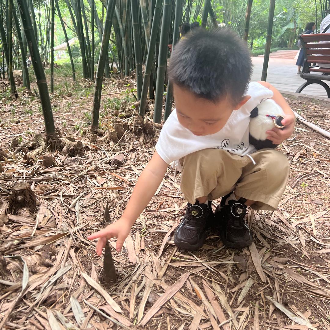 郝友乾　　　　　   　　　༽