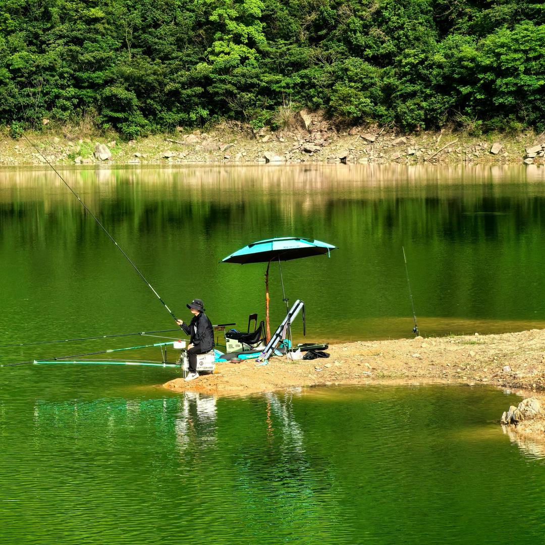 水中生物研究大湿🧑‍🔬