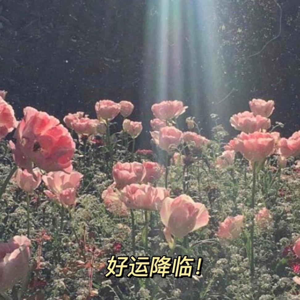 正心正见正能量