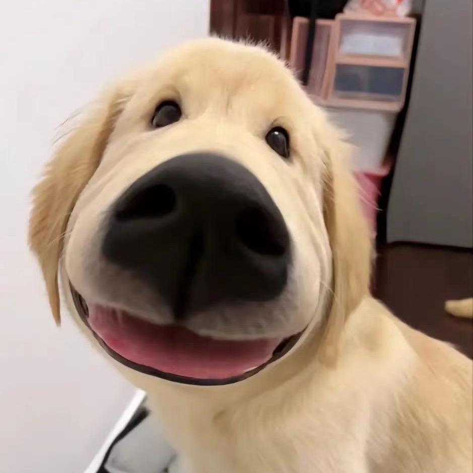 肆伍陆.