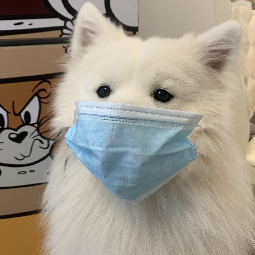 羊仔爱麻麻