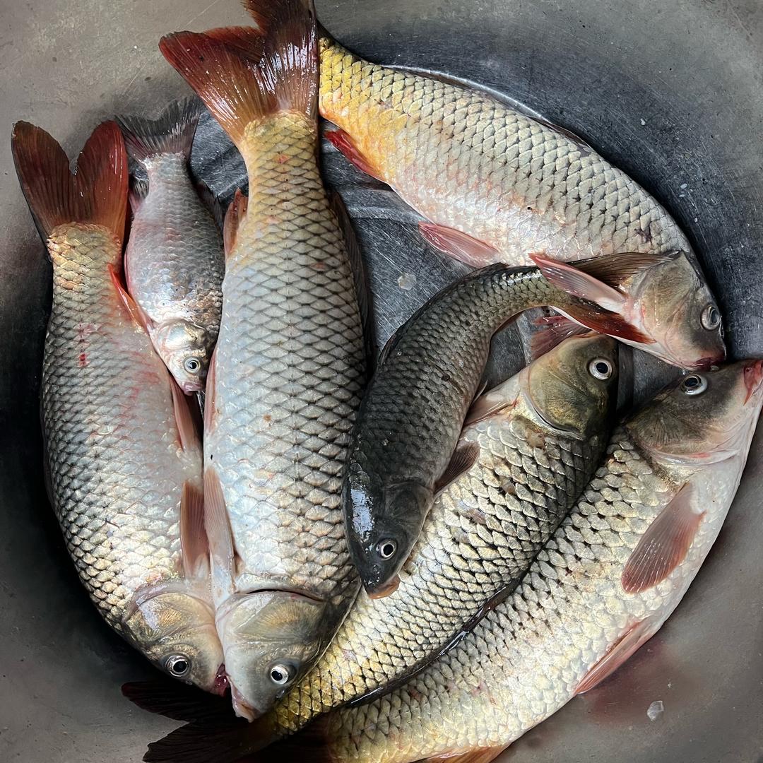 稳坐🎣台