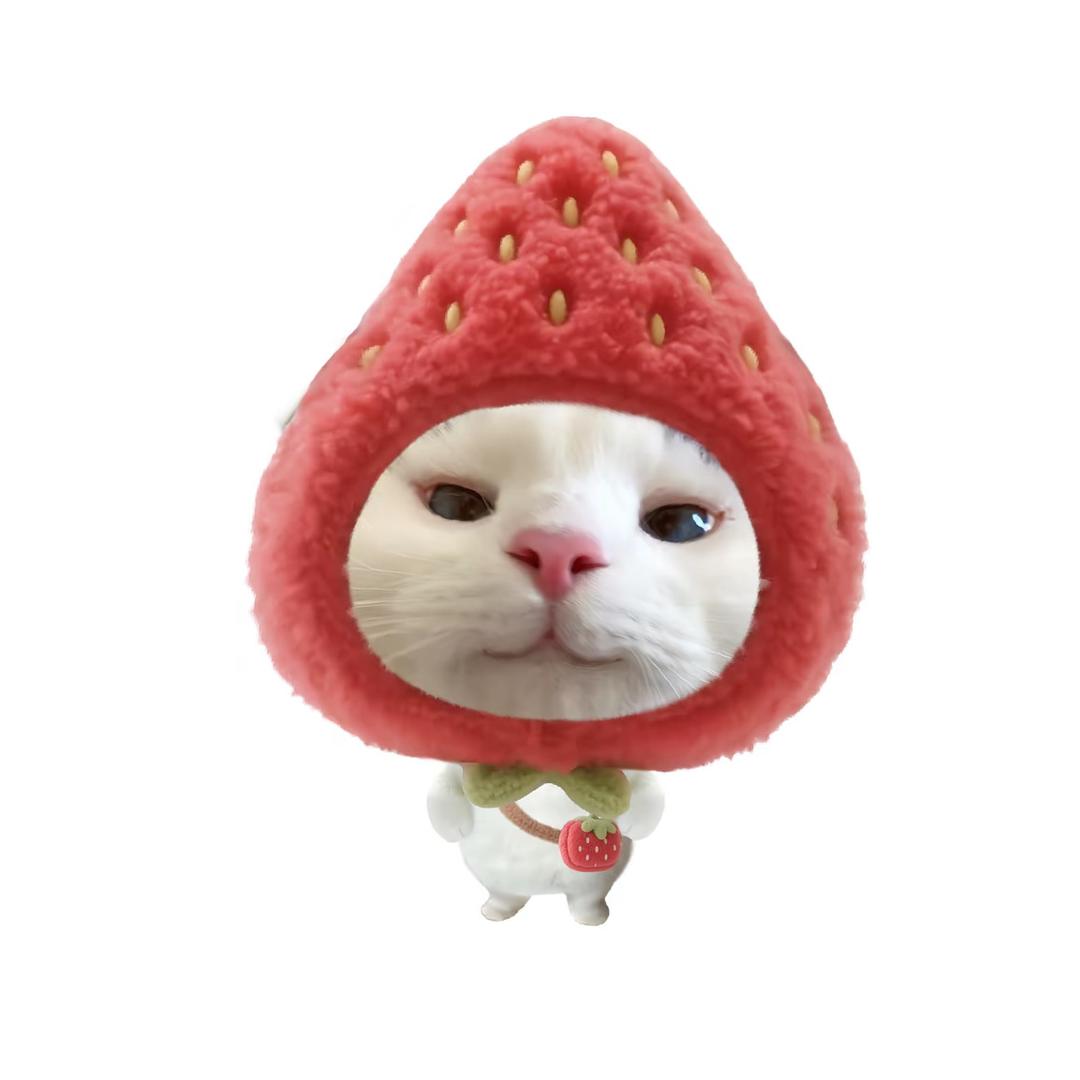 开踢猫小衣柜