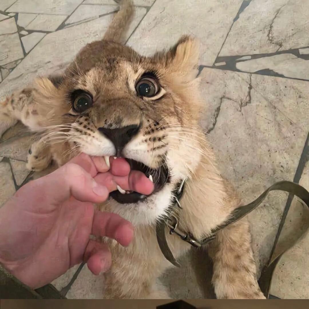 川财答疑学姐～