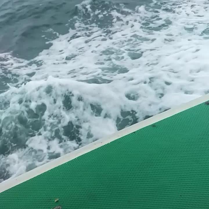 且停且忘且随风