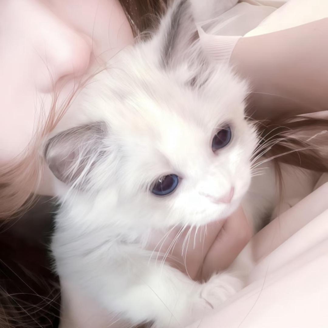流野