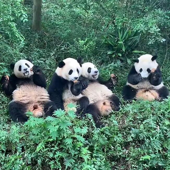 欲！！！！！！！！！！！！！！！！！！！