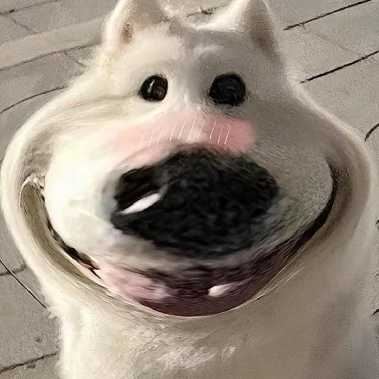 小胖不太胖