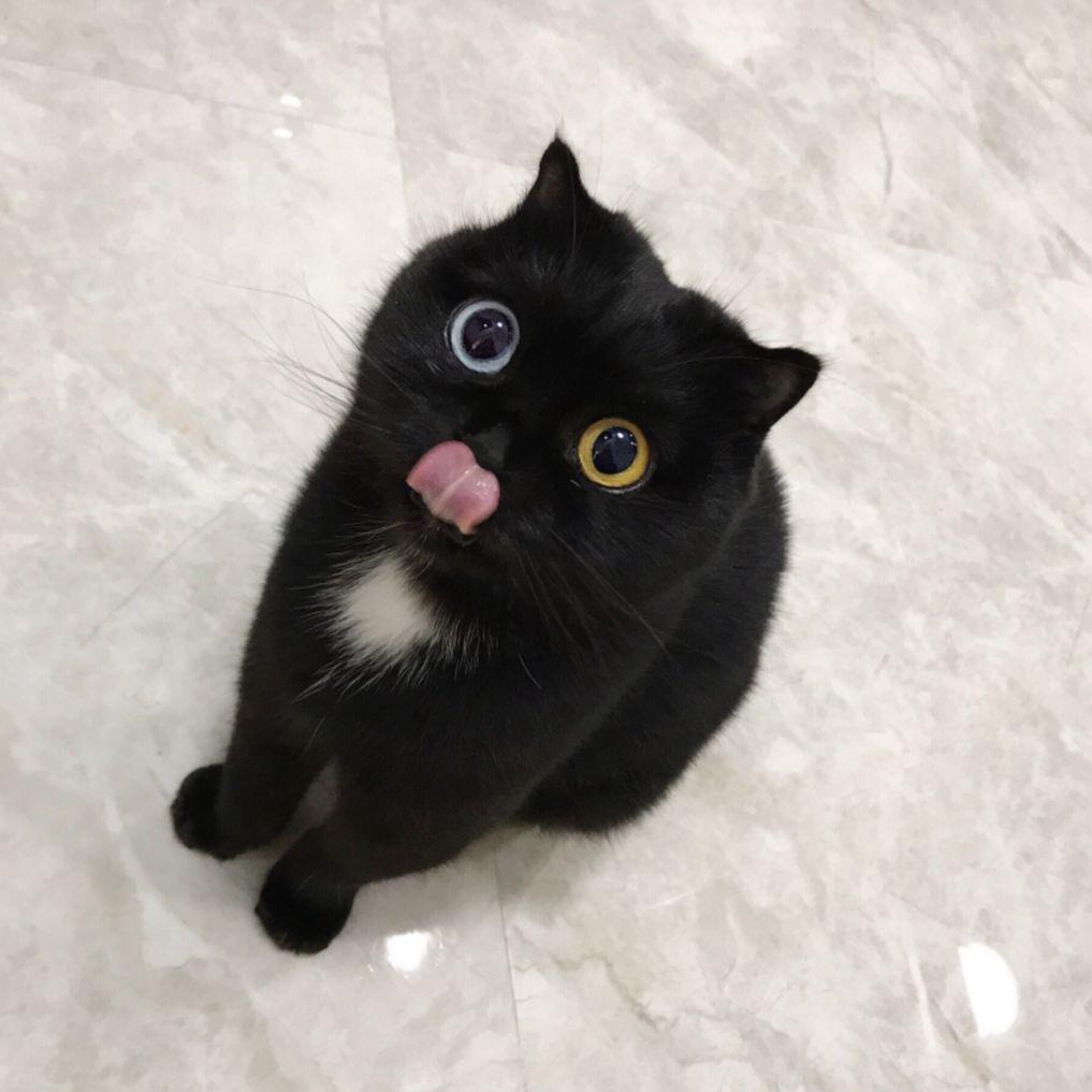 兵部京介。