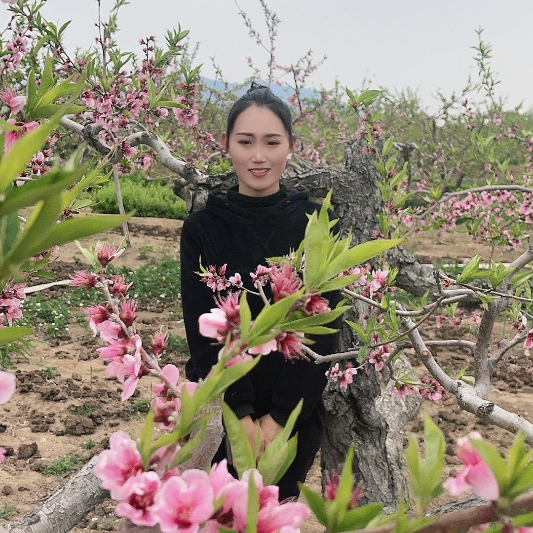 林妹子果树优选