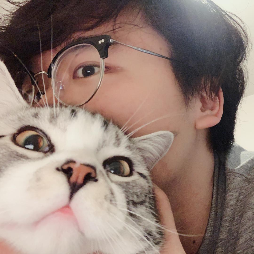 二舅有只猫