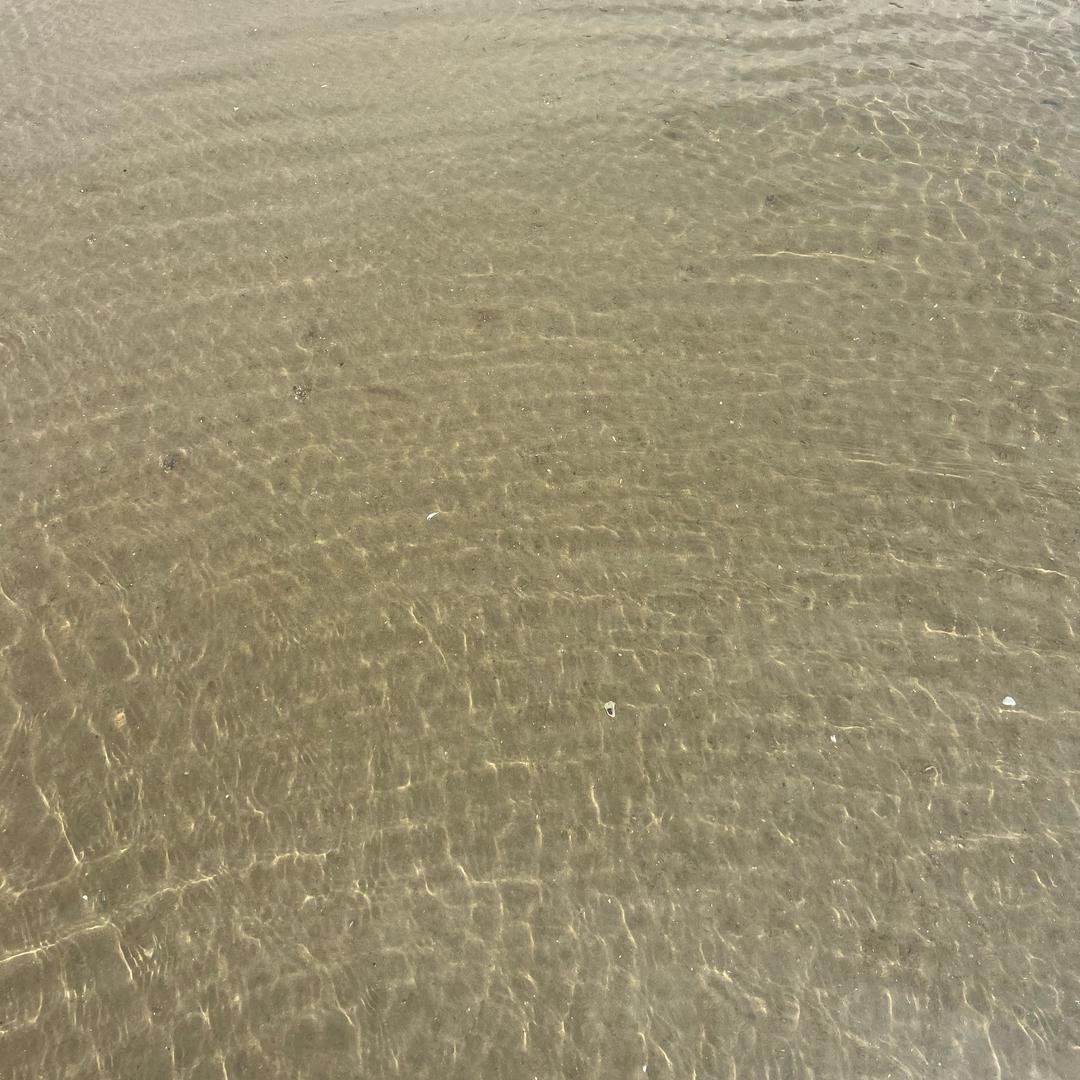 大海里的沙
