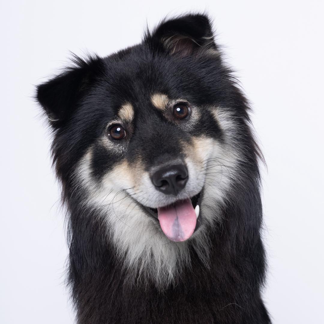 墩墩的自拍日记