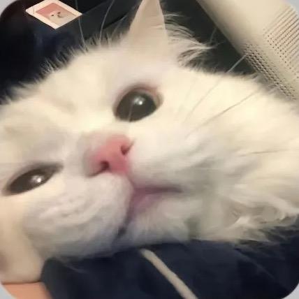 归 零
