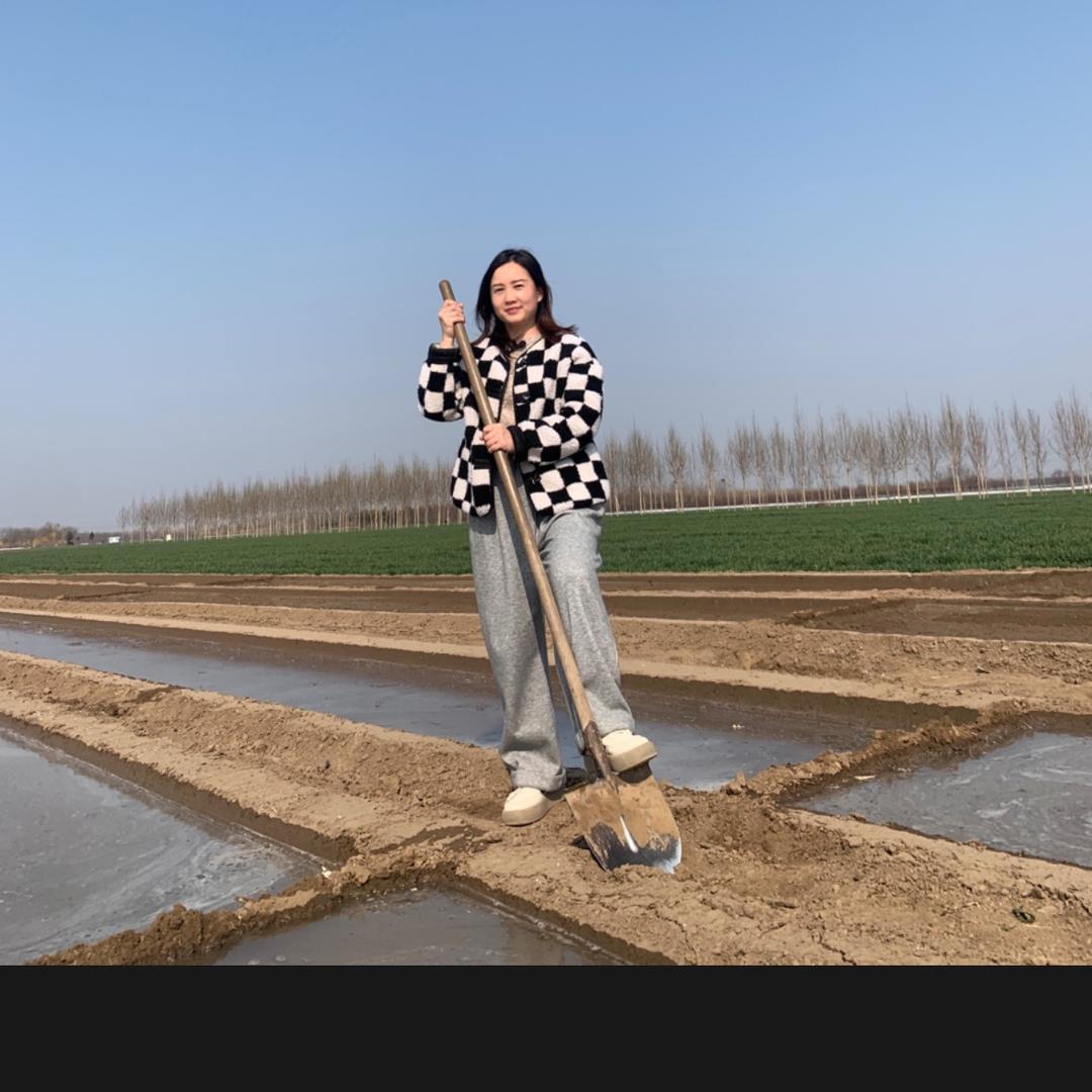 园大头—刘燕讲辣椒高产