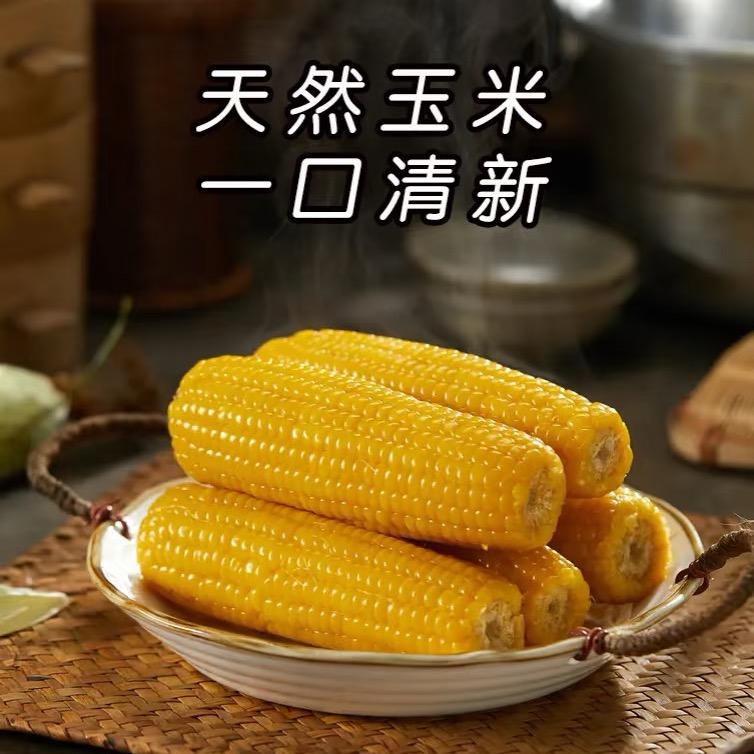 玉米课代表