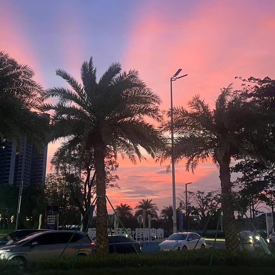 🦋保利金町湾Anna姐姐🦋