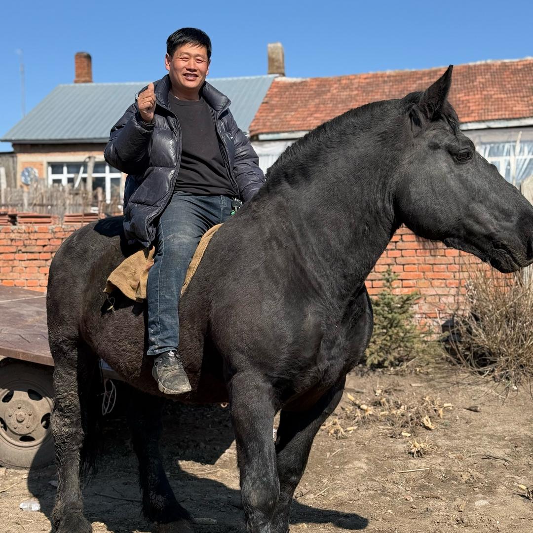 龙腾虎跃日常生活