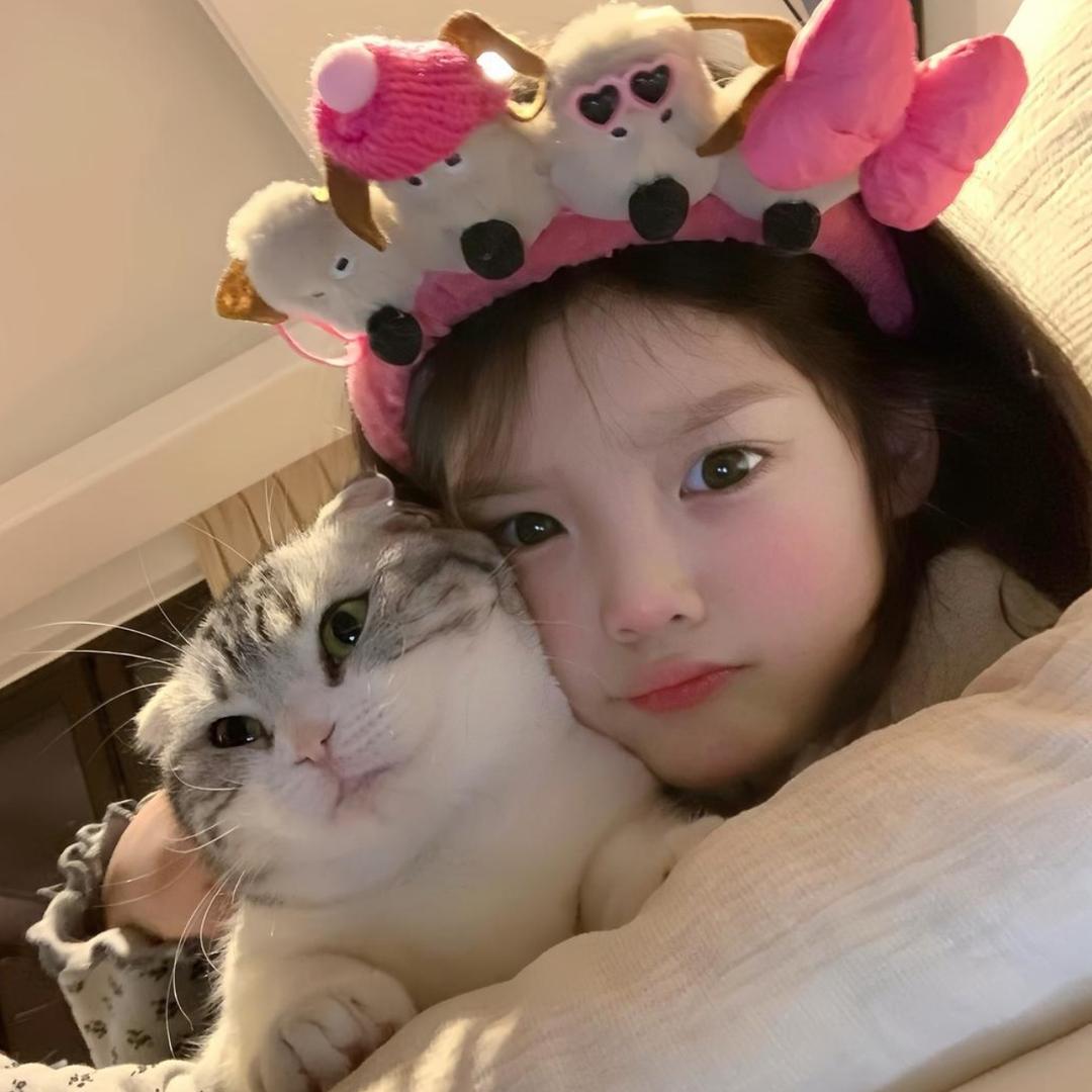 蛋蛋