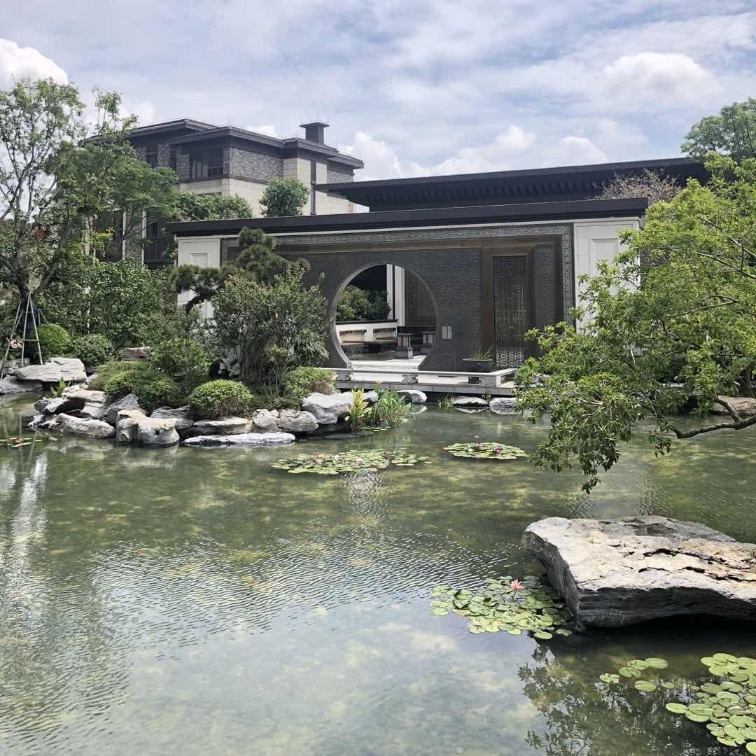 王Vv