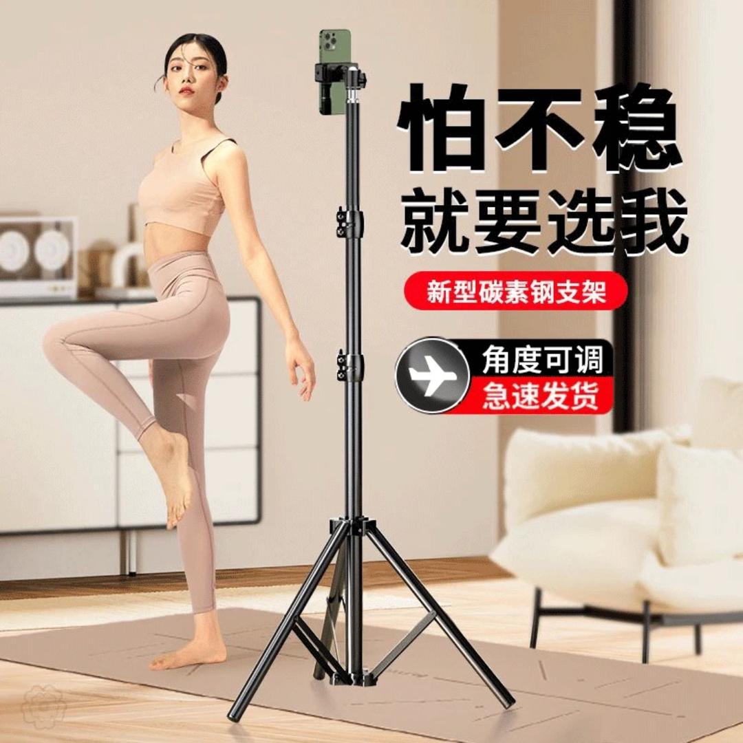 飞莓数码
