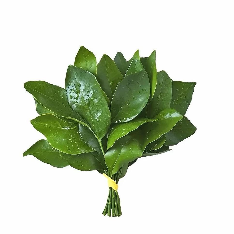 -悠悠