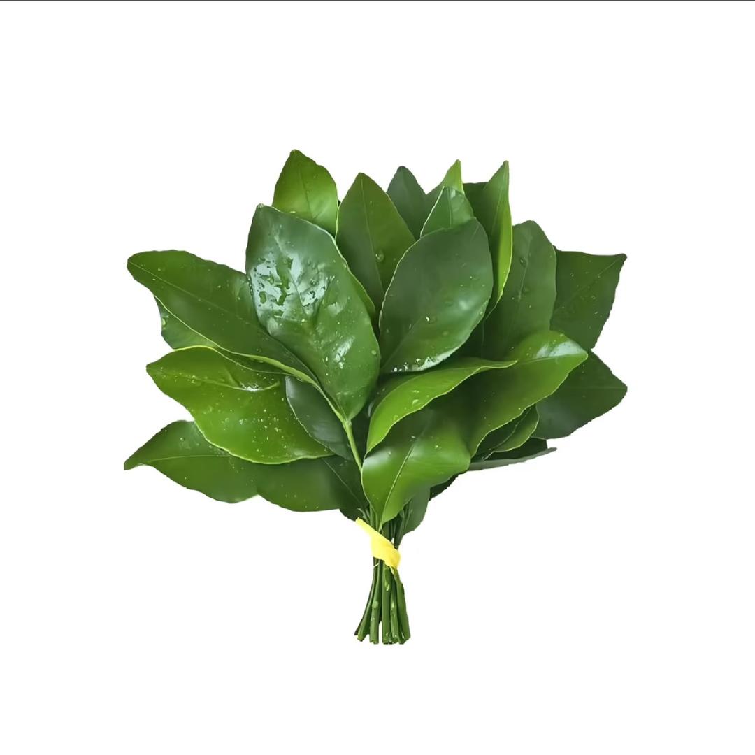 撩汉大婶.