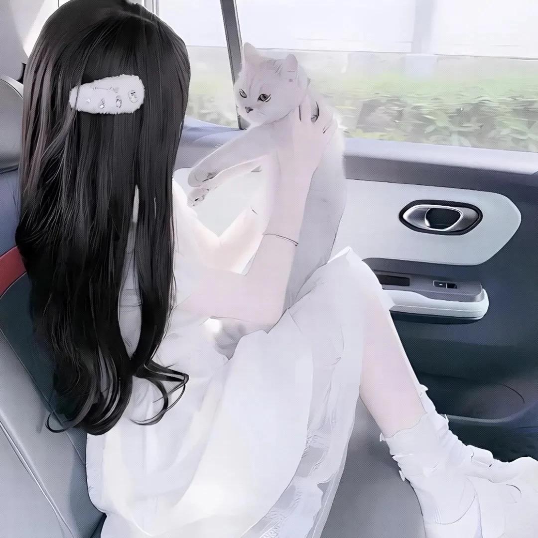 胡萝卜糊了