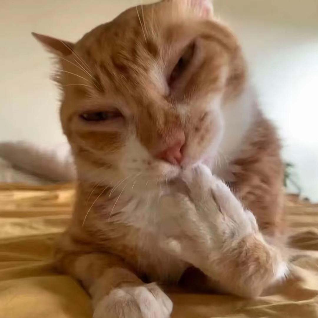 Abc.惠民锂电-代理（配件🉑找）