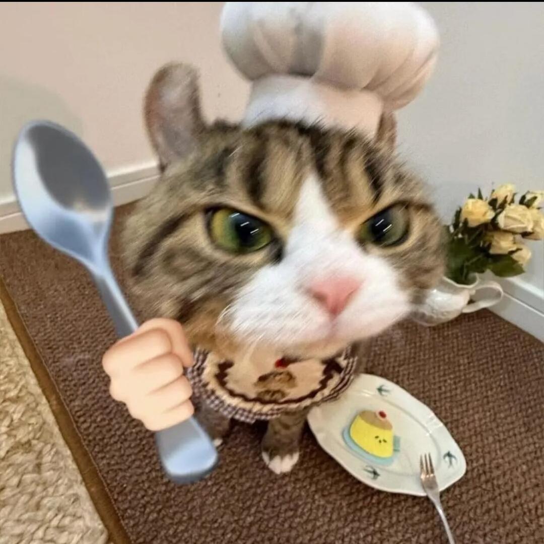 北方囡囡❤️🪐