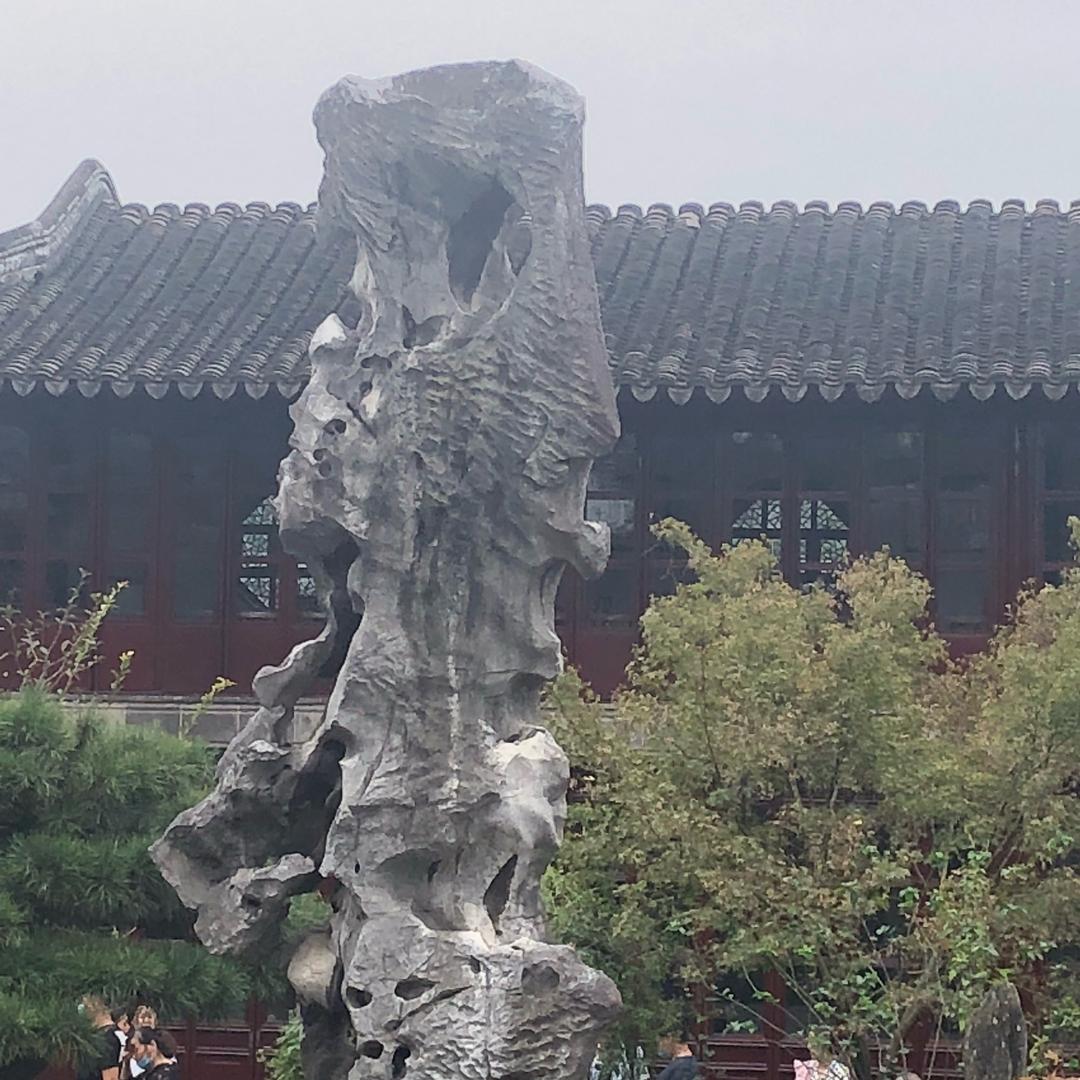 深圳小表弟
