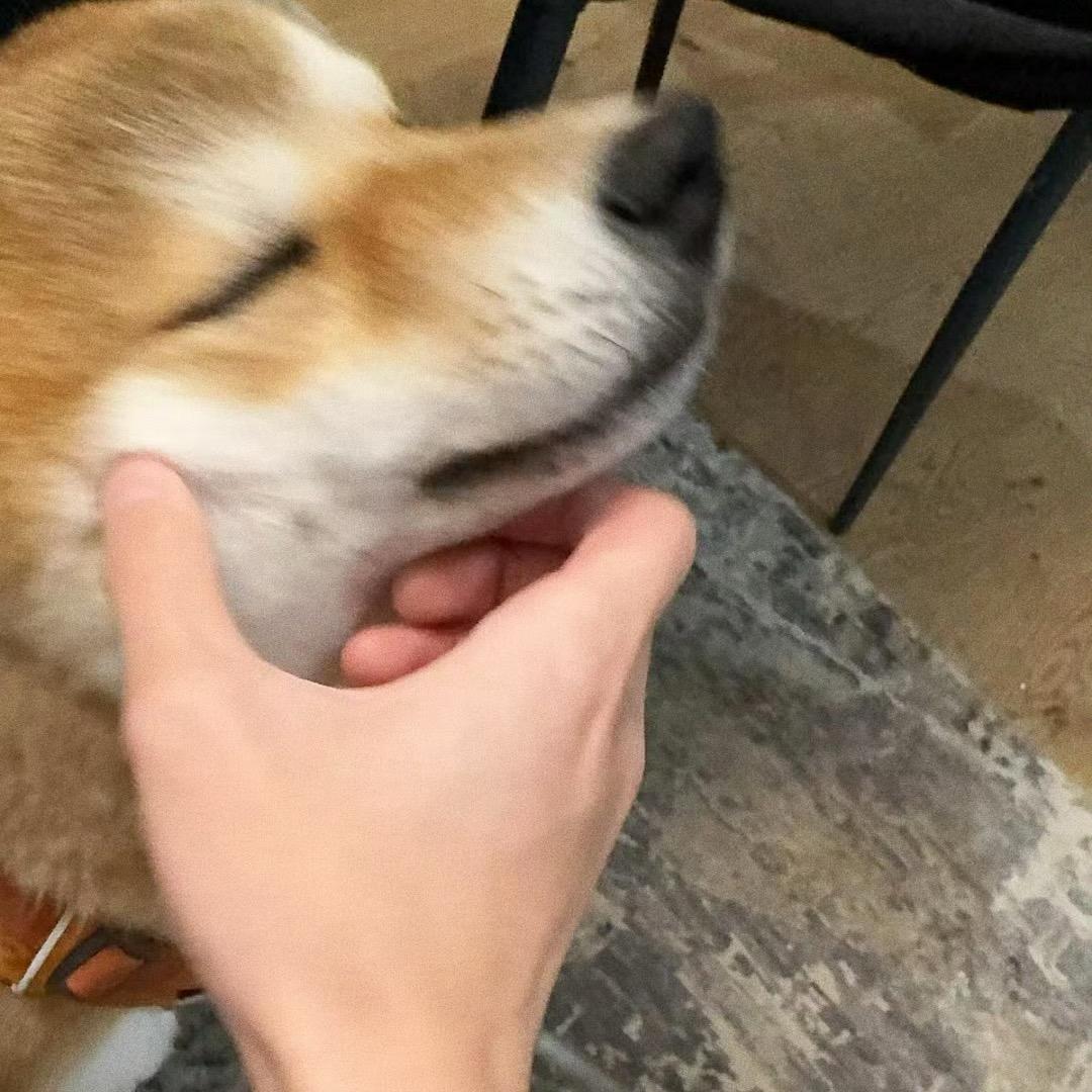 超爱披萨老师_👑