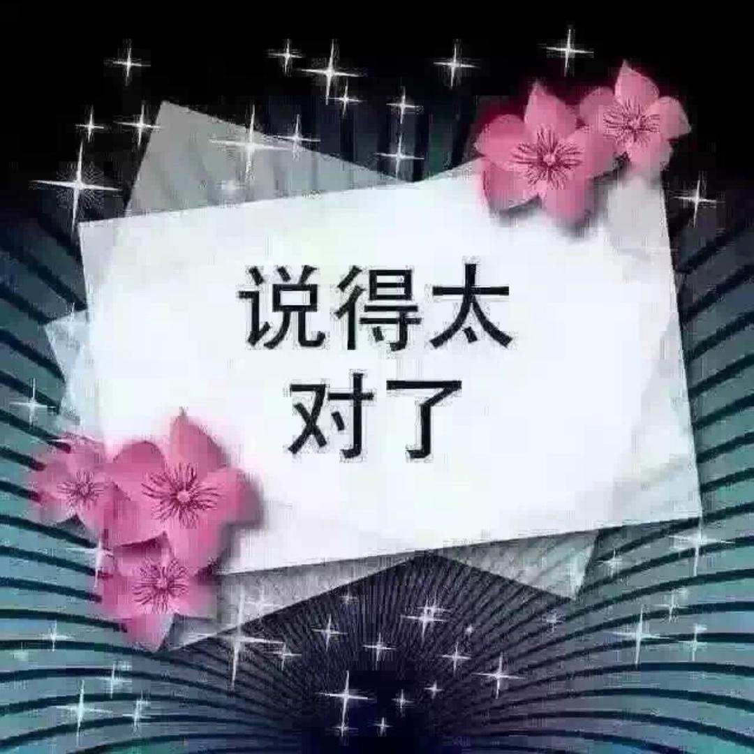 日光倾城