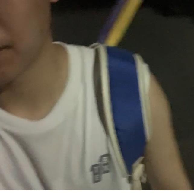 熊猫爱打球