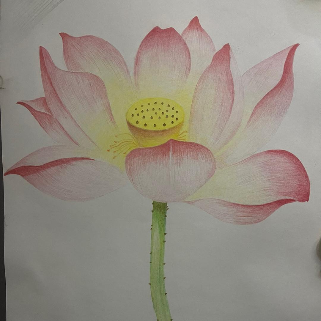 晓君好物