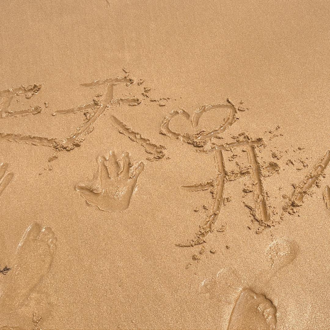 (^.^)张鱼丸子🍡