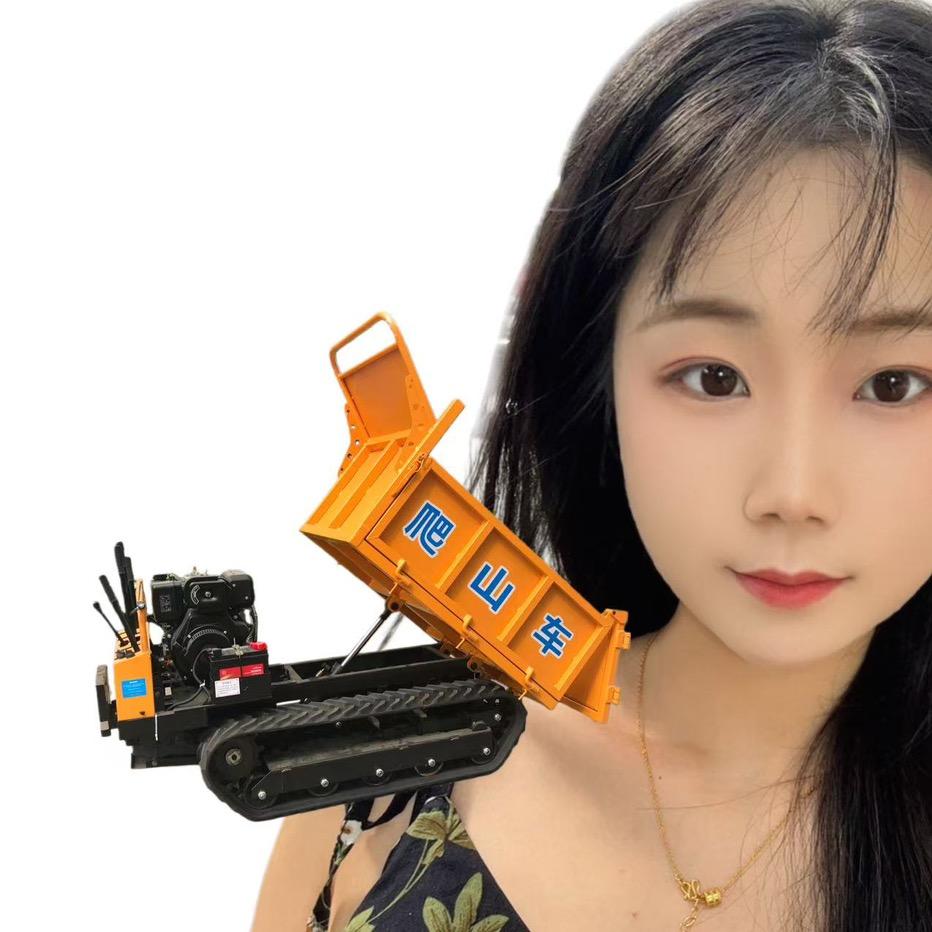 广西贵港江远机械爬山车厂家