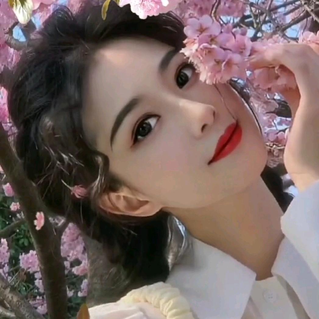 小燕子
