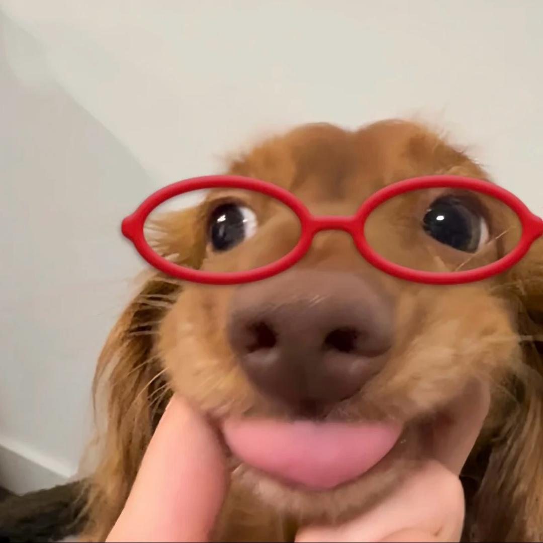 今天吃啥呀