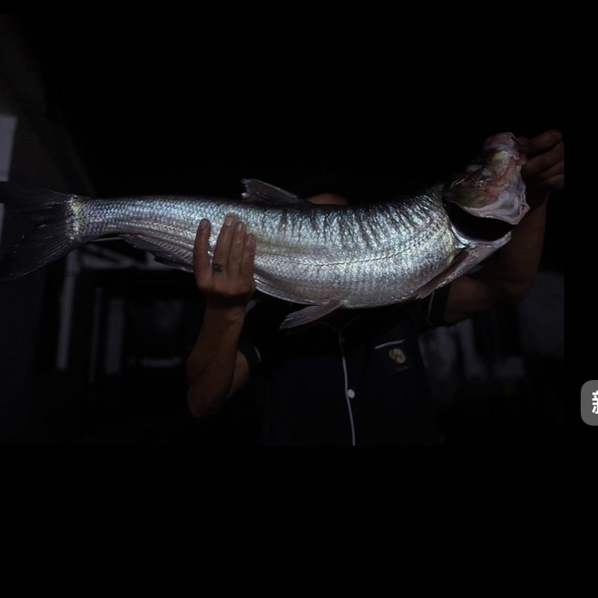锚🐟 大队长 蒋哥
