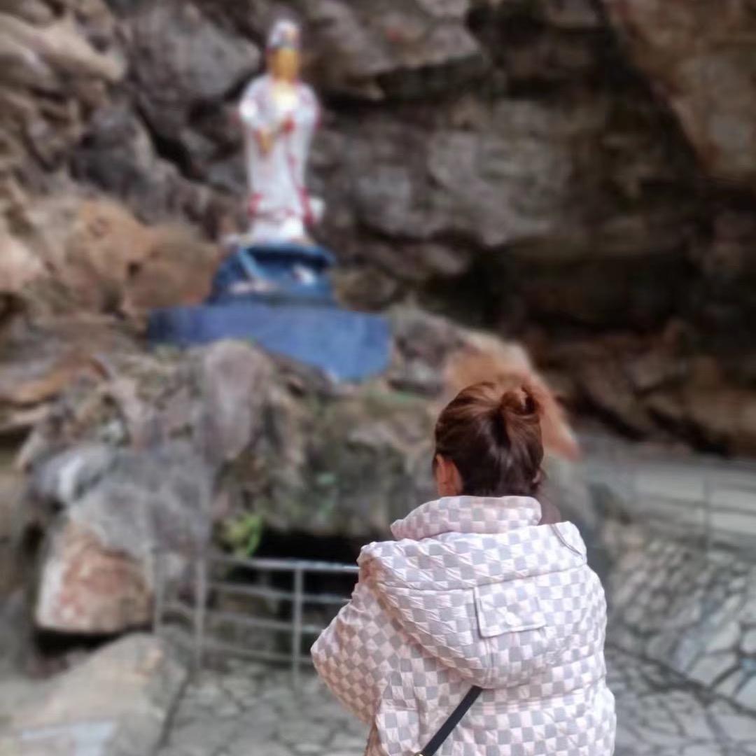 豫见青青（12点开播）