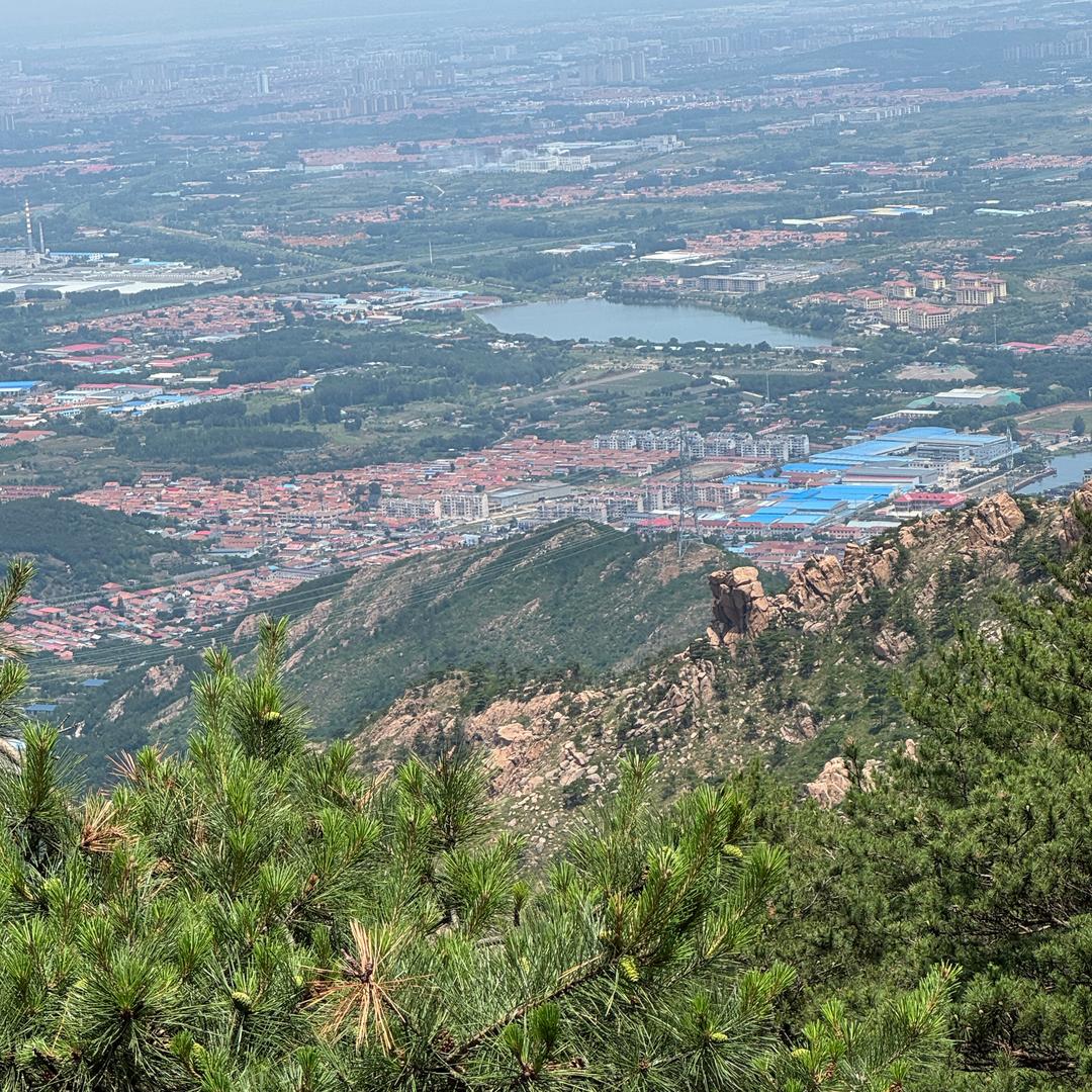 Zhang