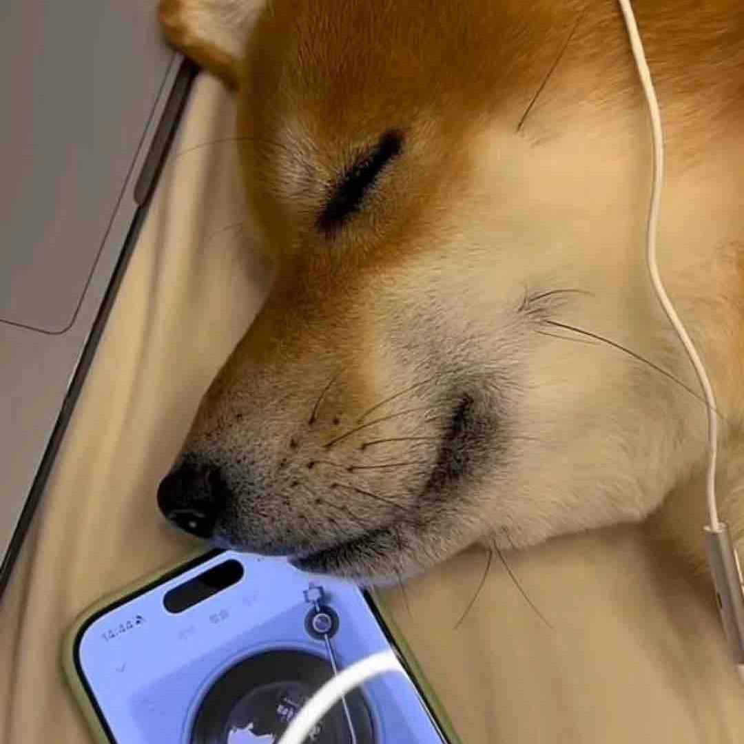 小的的