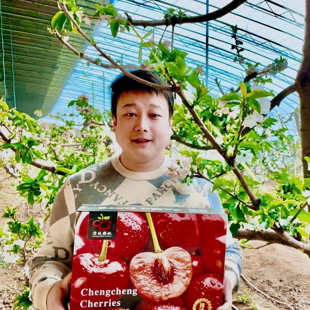 澄城樱桃小唐（乐林农业）