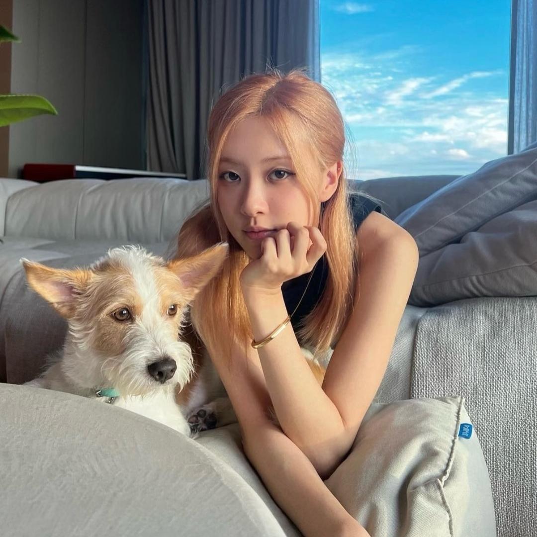 阿yuyuyu🍊
